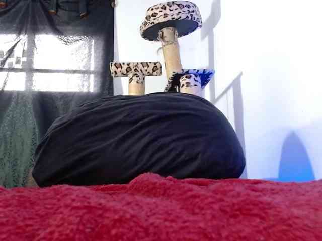 Lizhot2305 webcam