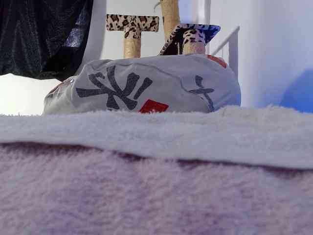 Lizhot2305 webcam