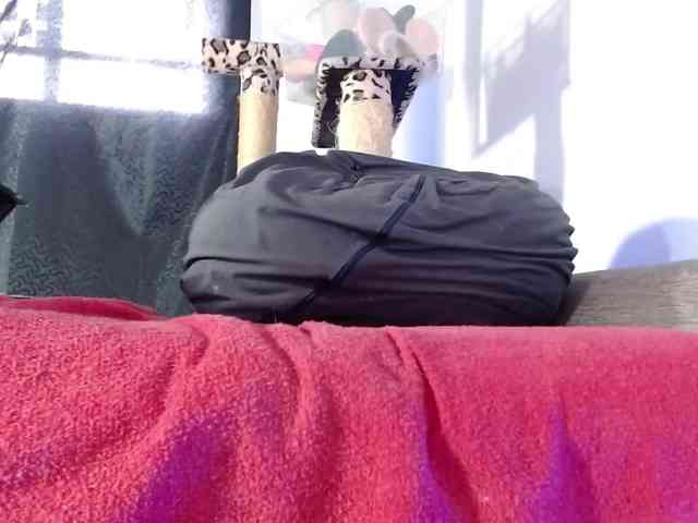 Lizhot2305 webcam