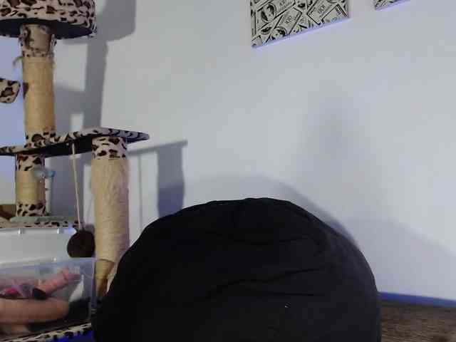 Lizhot2305 webcam