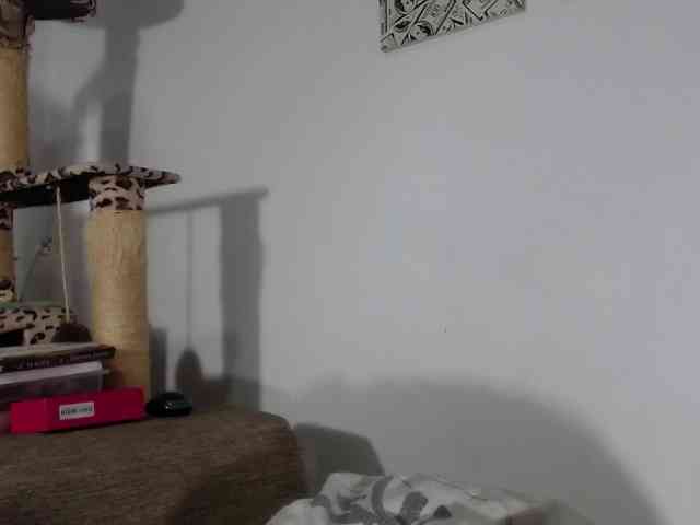 Lizhot2305 Lizhot2305