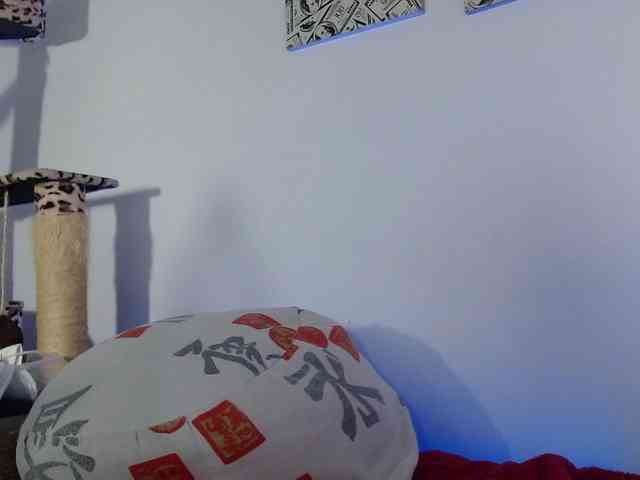 Lizhot2305 webcam