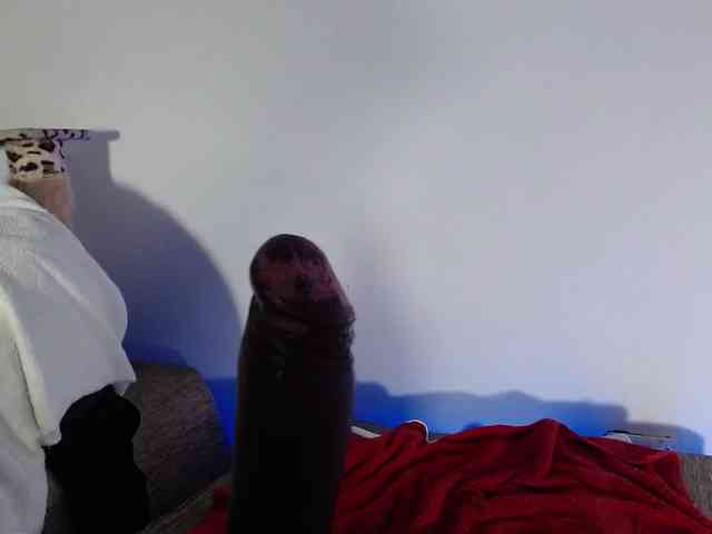 Lizhot2305 webcam