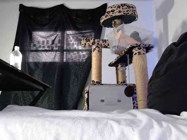 Lizhot2305 webcam