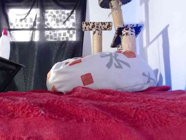 Lizhot2305 webcam