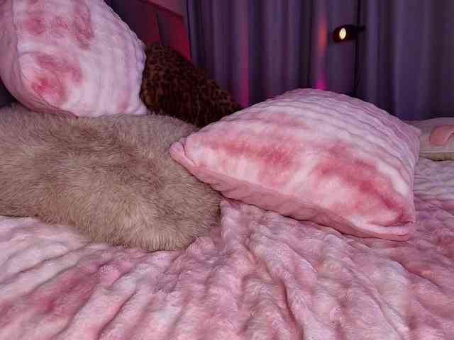 Pinkie-Pie webcam