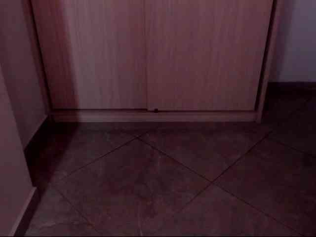 stanovleniye webcam