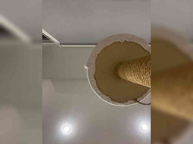 lunnayaprizma webcam