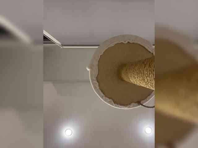 lunnayaprizma webcam