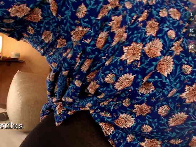 snowbunny webcam