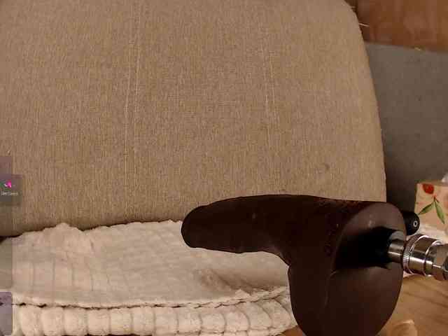 snowbunny webcam