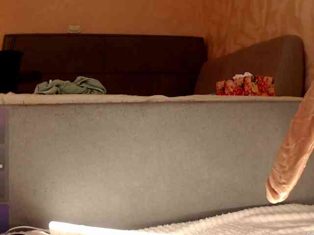 snowbunny webcam