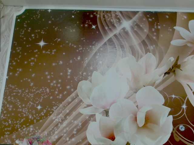 Kimmmmis live cam preview