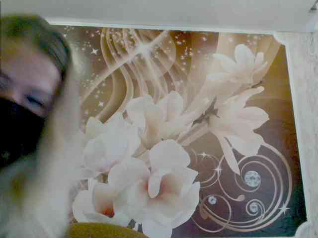 Kimmmmis webcam