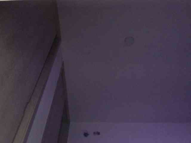 roxy-fisting webcam