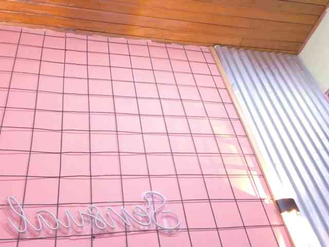 sofia-ebony webcam