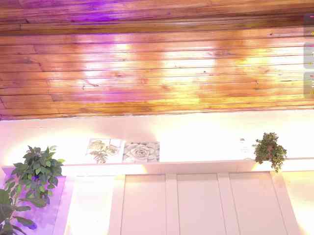 sofia-ebony webcam