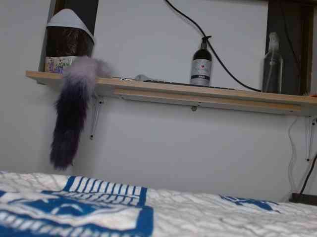 meli-jones69 webcam