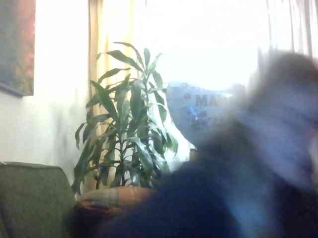 Abrilblond webcam