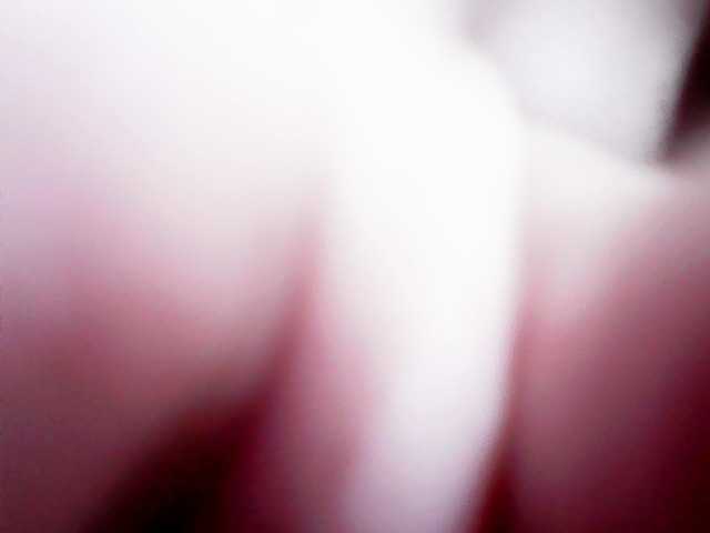 MoanFormebb live cam on BongaCams