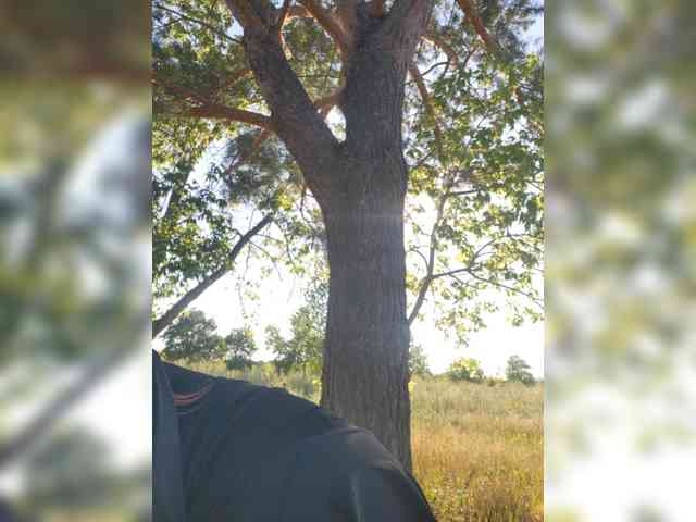 StormEva webcam