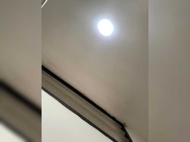 Preview of marilynstone