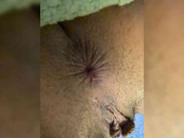 Aloeloea webcam