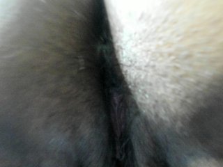 AlondraZaens Porn Show