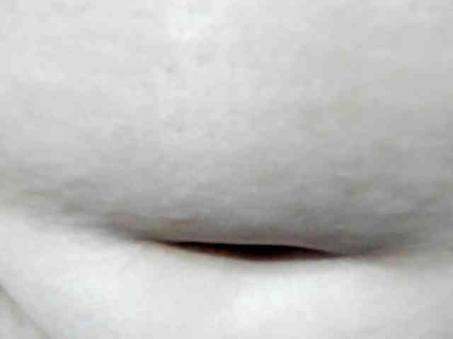 AlondraZaens webcam