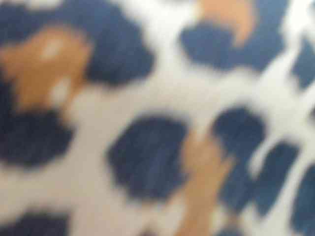 AlondraZaens webcam