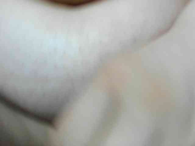 AlondraZaens webcam