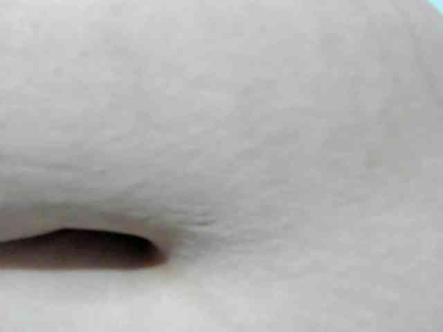 AlondraZaens webcam