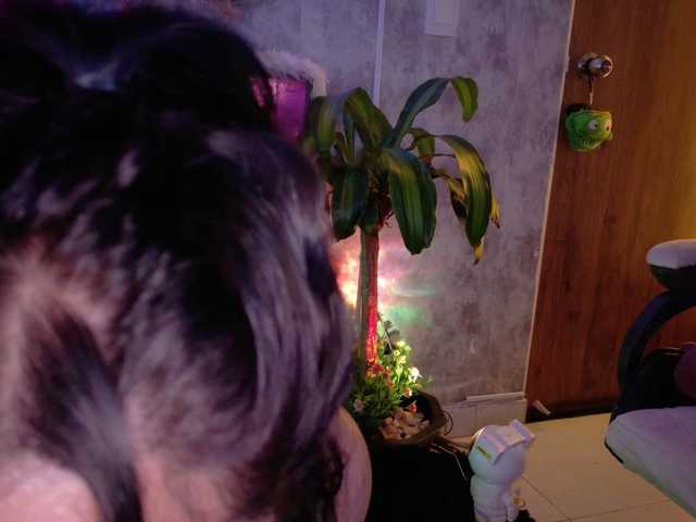 Ada-andDamian live cam on BongaCams