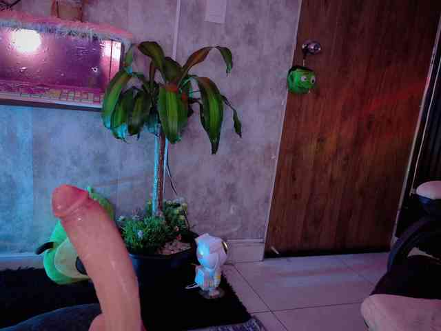 AdaKolex webcam