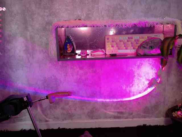 AdaKolex webcam