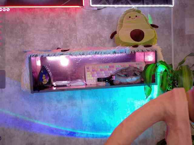 AdaKolex webcam