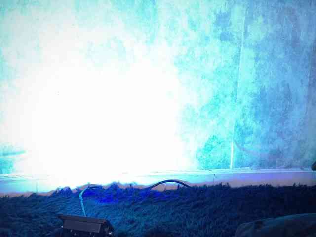 AdaKolex webcam