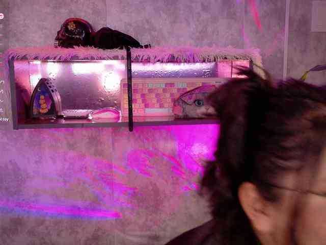 AdaKolex webcam