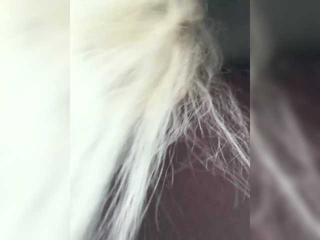 Lovensesgirl, live now on BongaCams