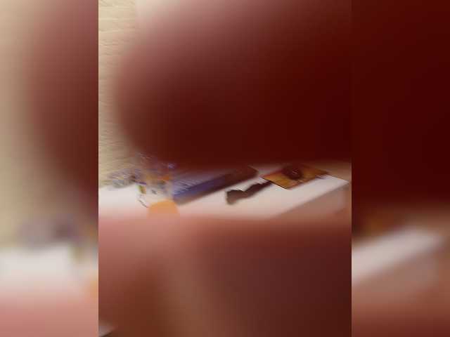 _Dragon_ live cam