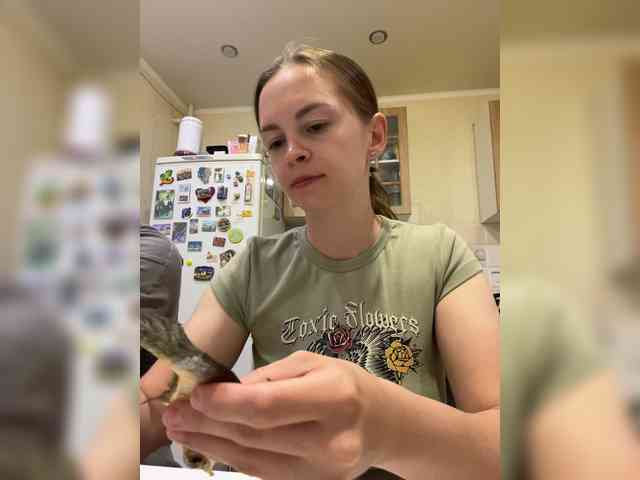 _Dragon_ webcam