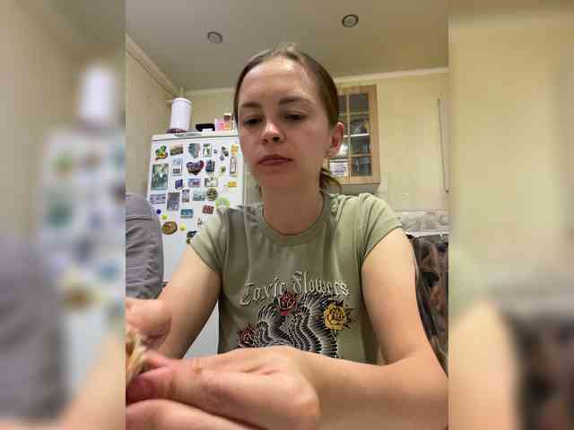 Модель: _Dragon_