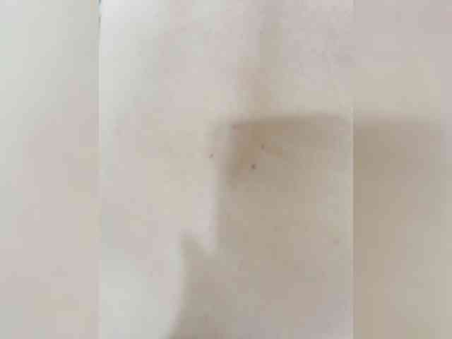 seksiparaa Sex Cam Show