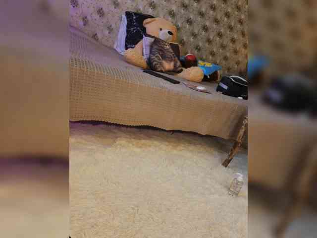 _Darina_Andreevna_ webcam