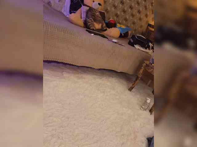 _Darina_Andreevna_ webcam