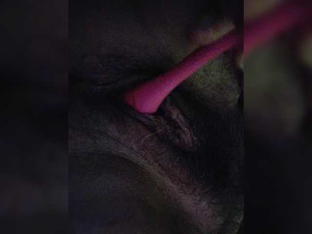Evasweetapple live cam on BongaCams