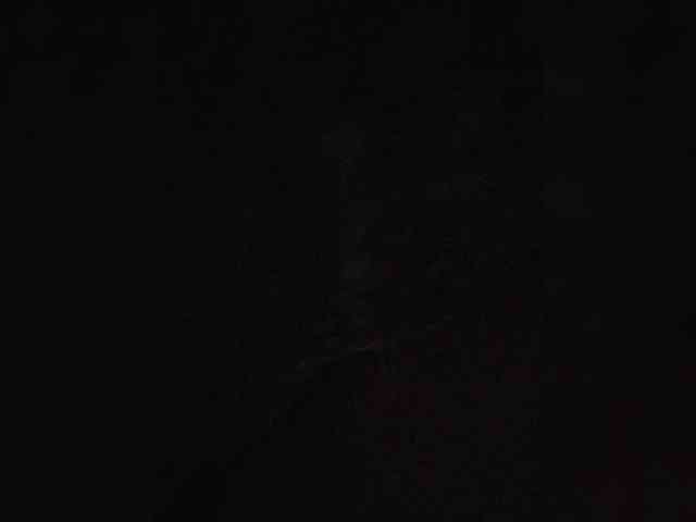 Dinochka38 webcam