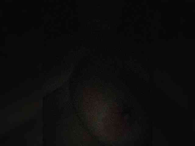 Dinochka38 webcam