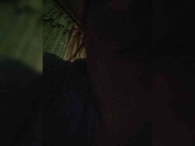 Dinochka38 webcam