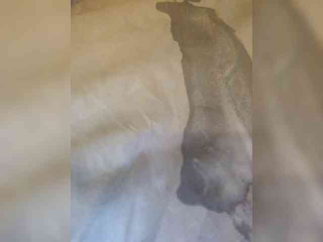NATASECRET webcam